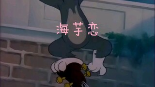 这才是海芋恋的正确打开方式