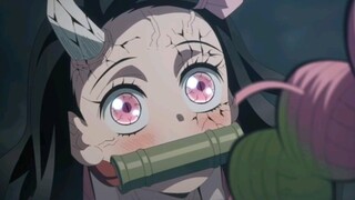 When Nezuko heard that her sister would protect her, she blushed!