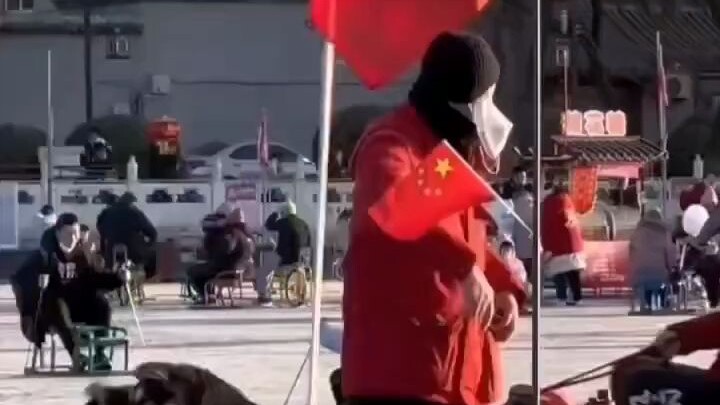 What a dog-pulled sled!