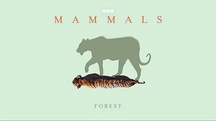 Mammals_2024_S01E06_Forest
