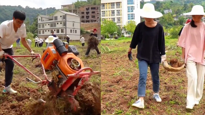 Anak laki-laki itu bekerja keras untuk mempromosikan almamaternya dan dikritik karena mengurangi jum