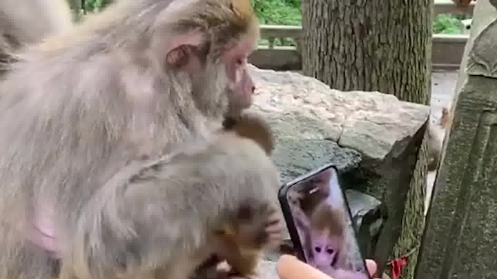 Don't film randomly; it can have a big impact.