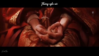 [Vietsub-FMV] Hai người chúng ta, thật giống nhau... | Cửu Vạn Tự 【九万字】 | Một Tấc Tương Tư【少年游之一寸相思】