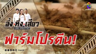 ฟาร์มโปรตีน! | อึ้ง ทึ่ง เสียว