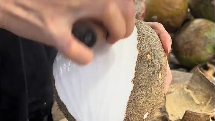 เพลิดเพลินกับความนุ่มลื่น