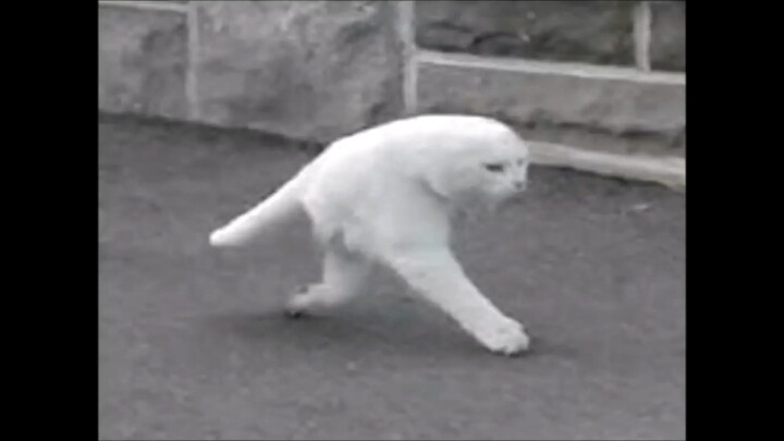 “Only recommended for fun and cute people”