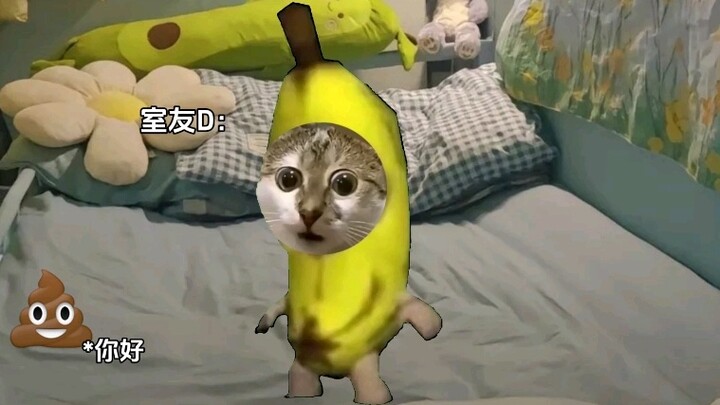 عندما يكون لديك صديق مسكون بالحلم (11)