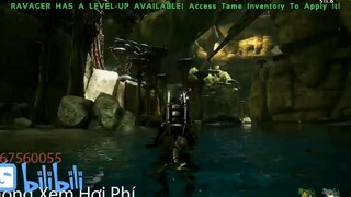 Đi vòng 1 hồi quay lại chỗ cũ #game