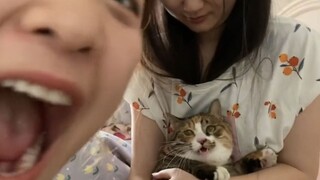 เกี่ยวกับ My Shit Scooper มันคือความอยุติธรรมครั้งใหญ่