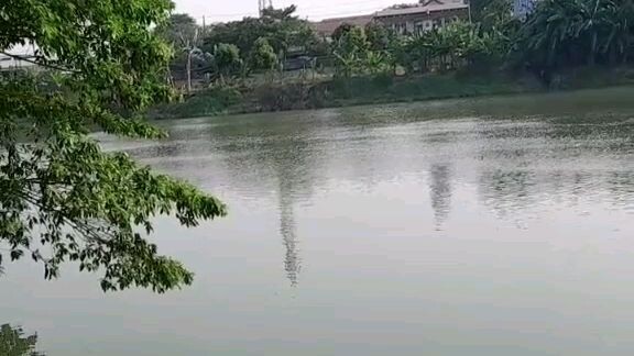 lagihhh gabutt😅🤣