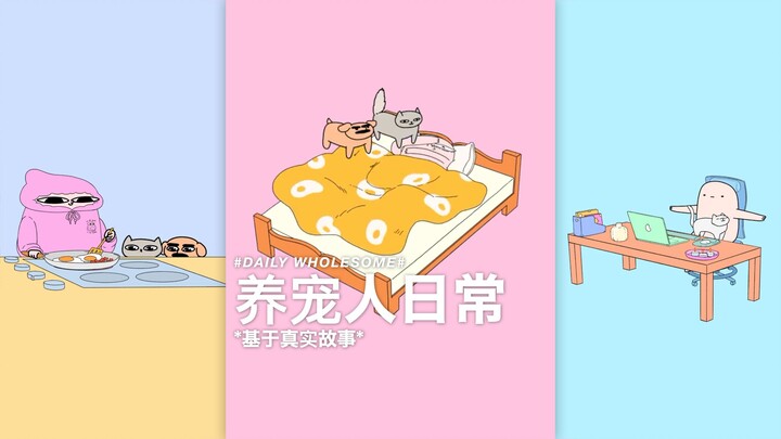 Pet Owner's Daily Life