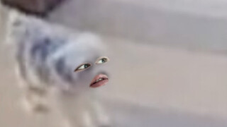 Đừng sợ