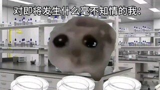 表面上:读博   实际上:赌博