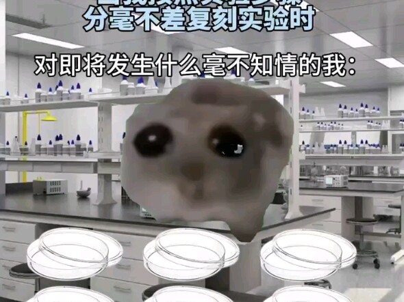 表面上:读博   实际上:赌博