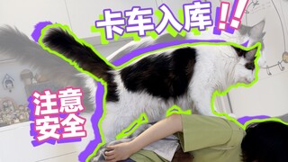 Trucks entering the warehouse—please stay safe if you're passing by!｜д•´)!!