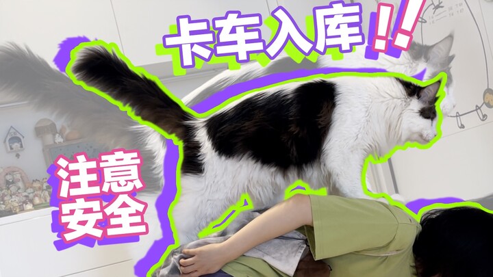 شاحنة تدخل المستودع، انتبهوا للسلامة عند المرور بجانبها ｜д•´)!!