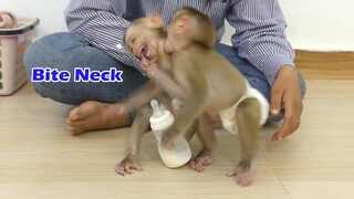What happened?!! Why Monkey Maki feel Very Angry Bite Neck Baby Maku Like This | Maku is Very Hurt
