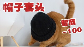They say this can measure a cat's IQ? I gave it a try with my own cat.