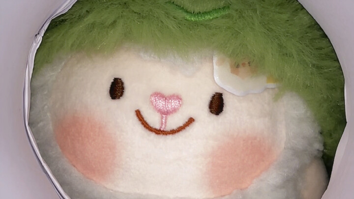 Sayang, ayo cepat sini biar Dongdong fotoin kamu~