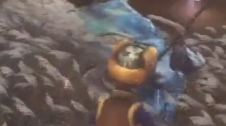 光头强的日常生活