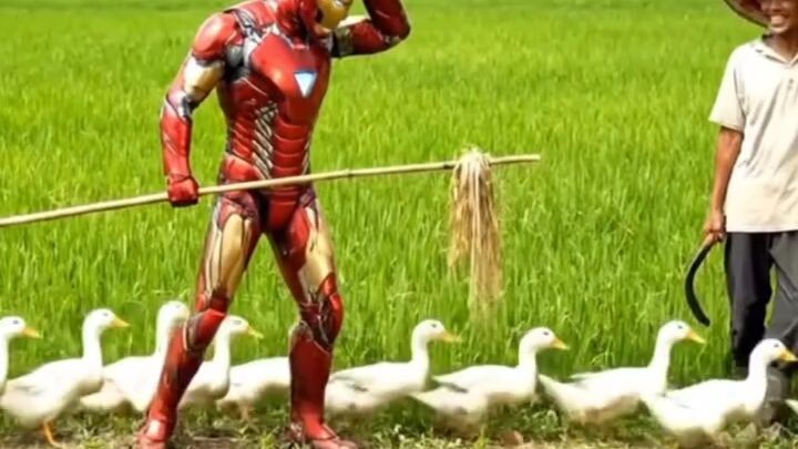 ketika Ironman pindah majikan🤣