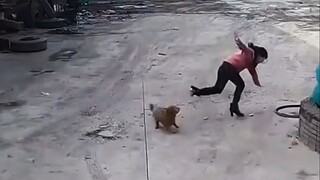 我当不了主持人，因为我怕被笑死！