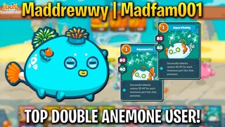 TOP RANK DOUBLE ANEMONE + HARE DAGGER BIRD! (Maddrewwy | Madfam001) | 3261 MMR | AXIE INFINITY