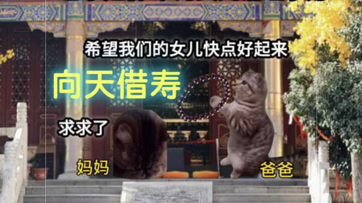 อย่าใช้มีดแห่งความผูกพันมาฆ่าฉัน!!!