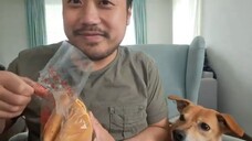 ASMR Giant Fortune Cookie 🥠 (Eating Sounds)
