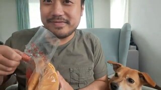 ASMR Giant Fortune Cookie 🥠 (Eating Sounds)