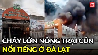 Cháy lớn nông trại cún Puppy Farm nổi tiếng ở Đà Lạt