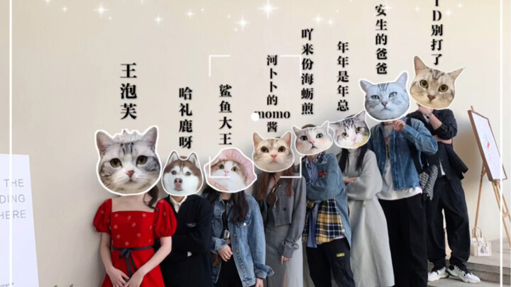 Akan pergi ke Zhengzhou untuk menghadiri pernikahan Mama Puff～Selamat menikah, Mama Puff!