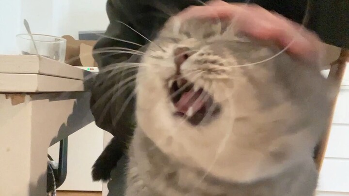 ربما يعود السبب إلى أن ساقي ليست طويلة enough