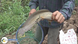 TRỞ LẠI SÔNG TIỀN CÂU CÁ TRÊ | Hội Ngộ Miền Tây - Tập 612