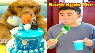 Thú Cưng TV | Đa Đa Thánh Chế #45 | Chó Golden Gâu Đần thông minh vui nhộn | Pets cute smart dog