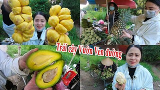 Sạp trái cây Vườn Ngon Rẻ chỉ từ 25k Bơ sáp Mít Tố nữ Mãng cầu Dứa mật khổng lồ ven QL 20 ở Đồng Nai