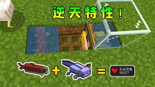 我的世界：逆天特性，5条鱼=半小时再生buff，简直无敌