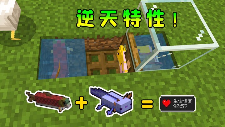我的世界：逆天特性，5条鱼=半小时再生buff，简直无敌