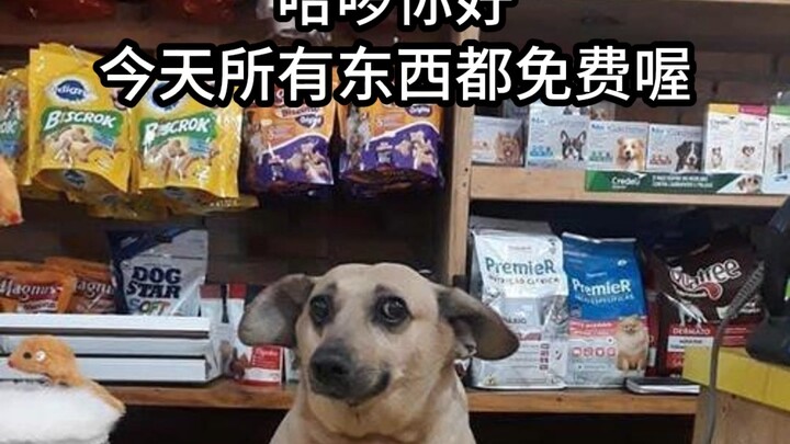 “Cyber Goodnight” 💤 Puppy Convenience Store *Free Today