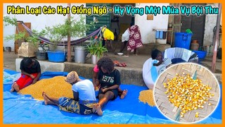 Nông Nghiệp VIỆT NAM ở Châu Phi | Phân Loại Các Hạt Giống Ngô - Hy Vọng Một Mùa Bội Thu Cho Bản Làng