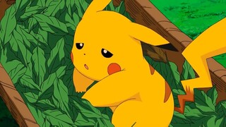 Pikachu MẤT TÍCH thế lực nào đứng sau