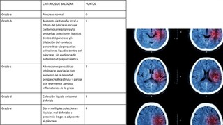 Terminos secretos de la patología