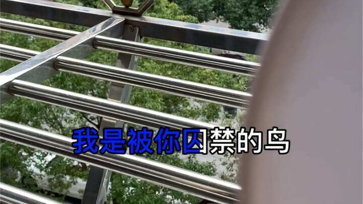Khi trong nhà chỉ còn lại đúng một thùng mì ăn liền…