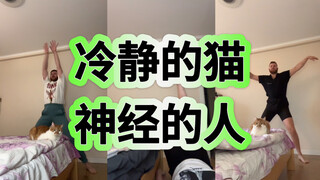 养猫人在家be like：