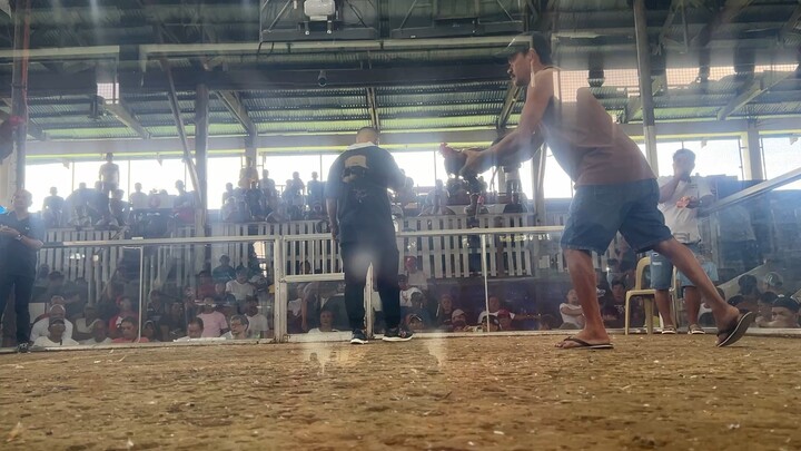 May 2nd win of Gilmore kanan uli ang tari