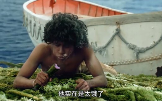 فتى ونمر عالقان في البحر، يعيشان معًا يوميًا لمدة 227 يومًا — "حياة باي"