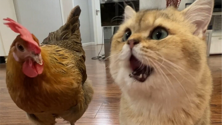 Easygoing: Whatever. I’ll just slip away.