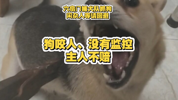 A free-roaming dog bites someone, there’s no surveillance, and when the owner is found, they refuse 