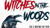 Witches in the Woods - 2019 Horror/Mystery Movie