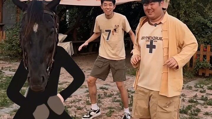 นี่เป็นม้าพันธุ์อะไร?